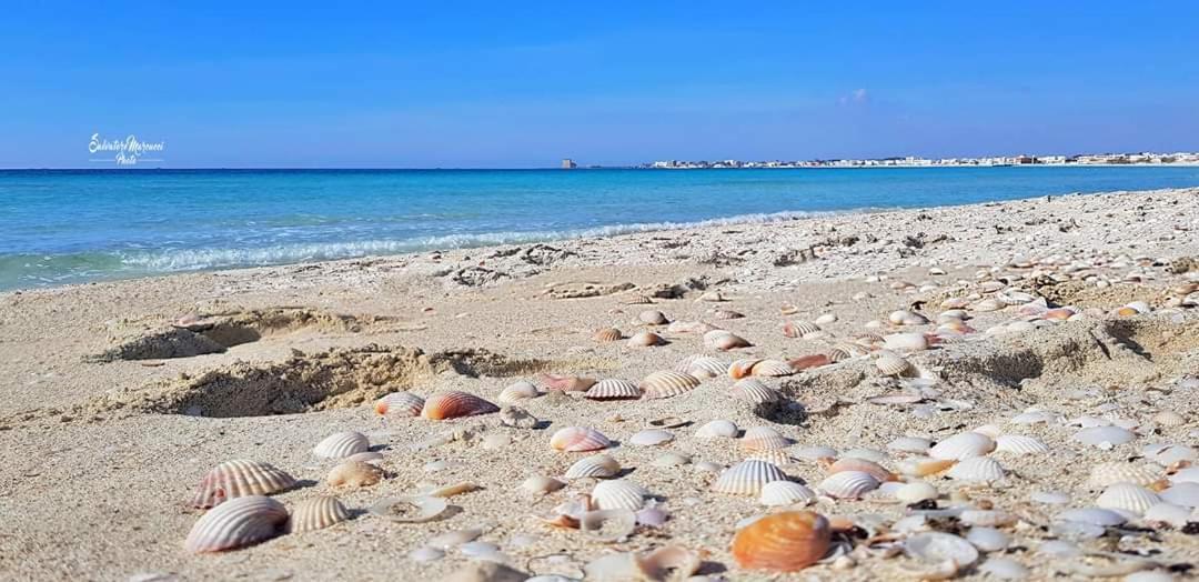 Masseria La Lizza - Ospitalita Rurale Лечче Экстерьер фото