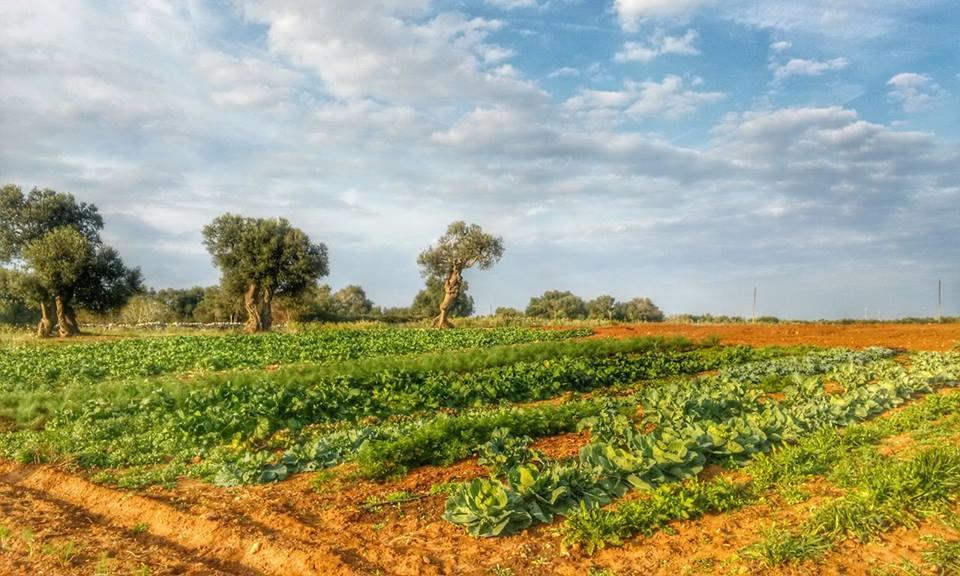 Masseria La Lizza - Ospitalita Rurale Лечче Экстерьер фото